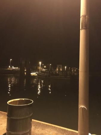 イカ３種＋渡蟹