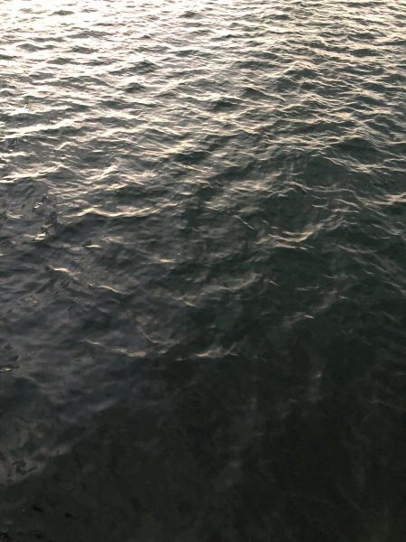 アジカマスアジアジカマス