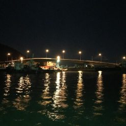 アオリ、アナゴ、小鯛、キス