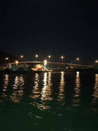 アオリ、アナゴ、小鯛、キス