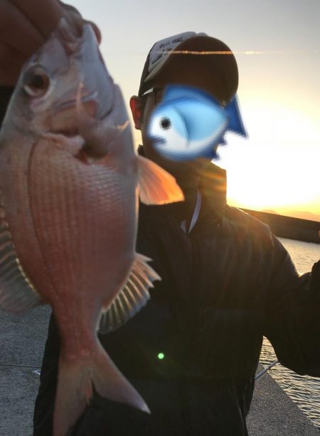 良型のカワハギ