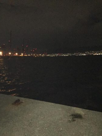 初!ポーアイ沖堤防へ!IP26で黒鯛釣れる!!.