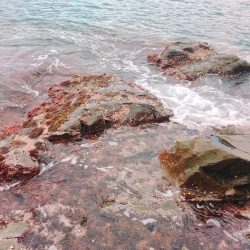 丹後半島夕マズメ&朝マズメ釣行！