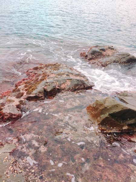 丹後半島夕マズメ&朝マズメ釣行！