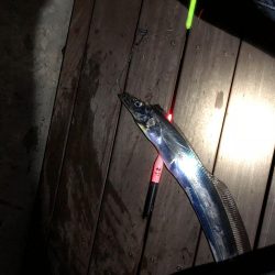 フィッシングホテル