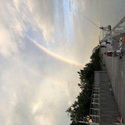 コスモスクエアの太刀魚2