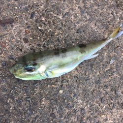 サイズアップしてますよ⤴️