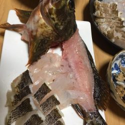 台風後ショアジギング!!