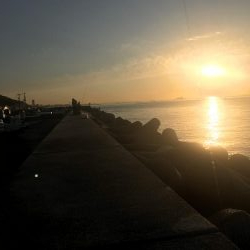 Tオヤジの青物退治物語