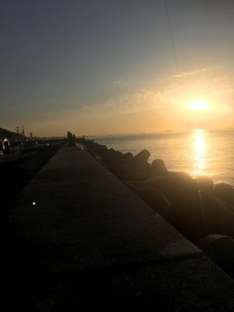 Tオヤジの青物退治物語