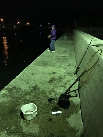 タコ２連ちゃん