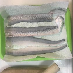 ショアジギング