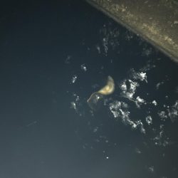 良かったです。