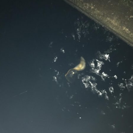 良かったです。