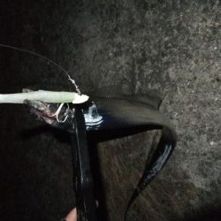 短時間勝負！！