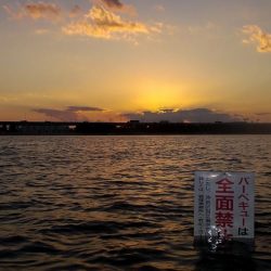 甲子園浜　鳥山　入食い