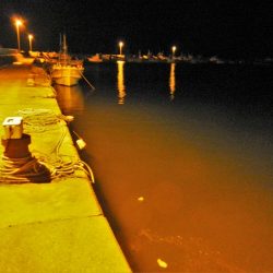 港でグググッと