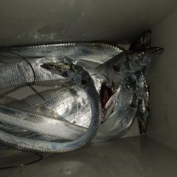 ショアジギング6