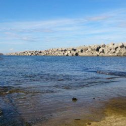 二馬力ボートでナブラ打ち