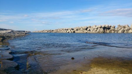 二馬力ボートでナブラ打ち