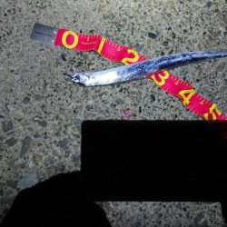 サゴシ祭りじゃ