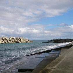 エギングロッドでナブラ打ち