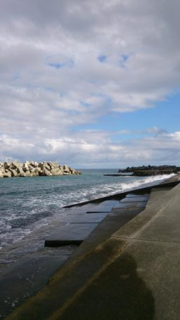 エギングロッドでナブラ打ち