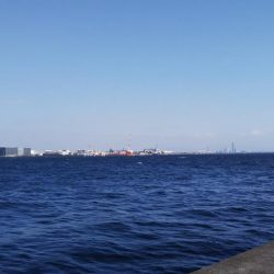 浮きへのアタリ多数！でもなかなか乗らない！