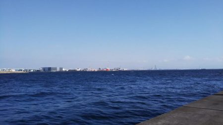 浮きへのアタリ多数！でもなかなか乗らない！