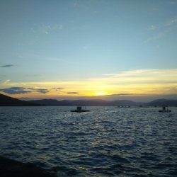 エギング&アジング