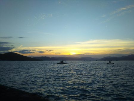 エギング&アジング