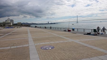 明石で五目釣り