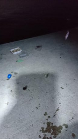 ブラクリ&サビキ