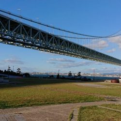 太刀魚、キス釣り、五目釣り