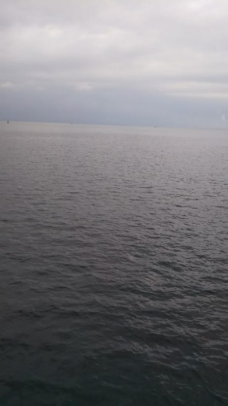 ワインド太刀魚