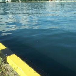 【苅田港】シーバス調査