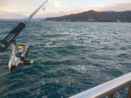 サゴシとキジハタと☆ＥＳＯ☆