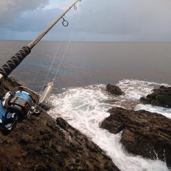 オフショアジギング