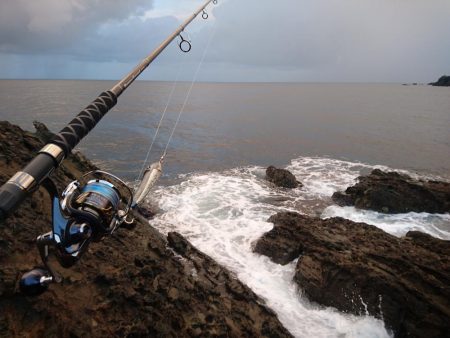 オフショアジギング