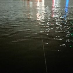 夕練、シーバスからのタチウオハンティング！