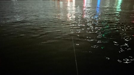 夕練、シーバスからのタチウオハンティング！