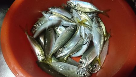 のべ竿いっぽん