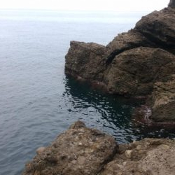 アコウの釣り納めに行ってきました!