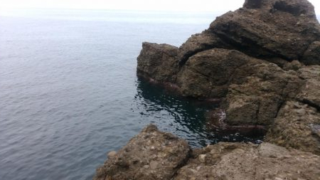 アコウの釣り納めに行ってきました!