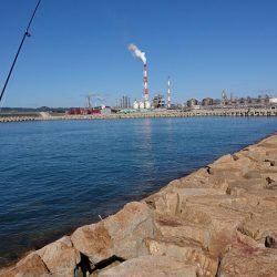 秋の落ちギス～