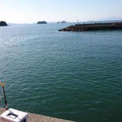 結局いつものやつら