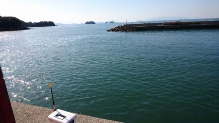 結局いつものやつら