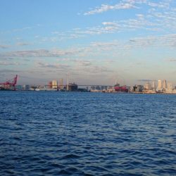 今ｼｰｽﾞﾝ初の夕まずめ釣行