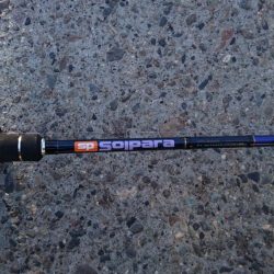 タチウオ釣行 まだちょい渋目