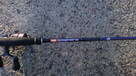 タチウオ釣行 まだちょい渋目